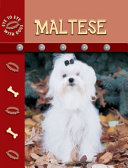 Maltese cover