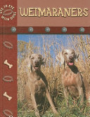 Weimaraners cover