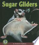 Sugar Gliders cover