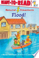 Flood! cover