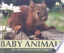 Baby Animals of the Woodland Forest cover