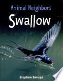 Seagull cover