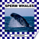 Sperm Whales cover