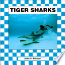 Tiger Sharks cover