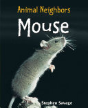 Mouse cover