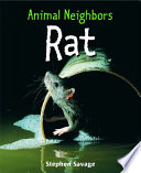 Rat cover