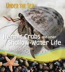 Hermit Crabs and Other Shallow-Water Life cover