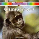Chimpanzees cover