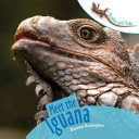 Meet the Iguana cover