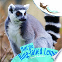 Meet the Ring-Tailed Lemur cover