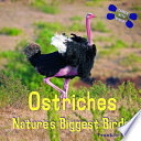 Ostriches: Nature's Biggest Birds cover
