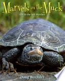 Marvels in the Muck: Life in the Salt Marshes cover