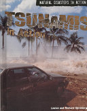Tsunamis in Action cover