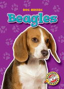Beagles cover