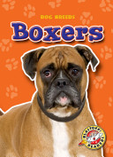 Boxers cover