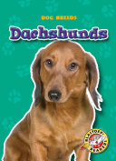Dachshunds cover