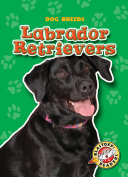 Labrador Retrievers cover