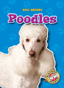 Poodles cover