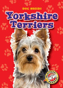 Yorkshire Terriers cover