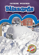 Blizzards cover