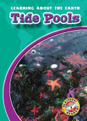 Tide Pools cover