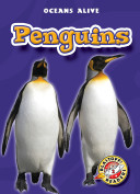 Penguins cover