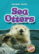 Sea Otters cover