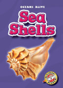 Sea Shells cover