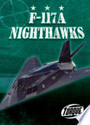 F-117A Nighthawks cover