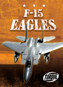 F-15 Eagles cover