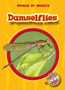 Damselflies cover
