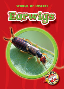 Earwigs cover
