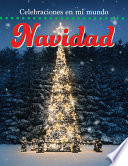 Christmas cover