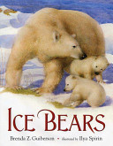 Ice Bears cover