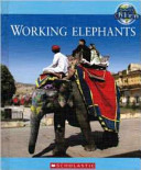 Elephants (Second Series) cover