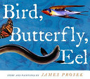 Bird, Butterfly, Eel cover