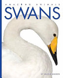 Swans cover