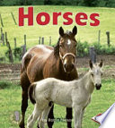 Horses cover