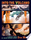 Into the Volcano cover