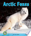 Arctic Foxes cover