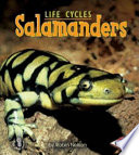 Salamanders cover