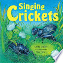Singing Crickets cover