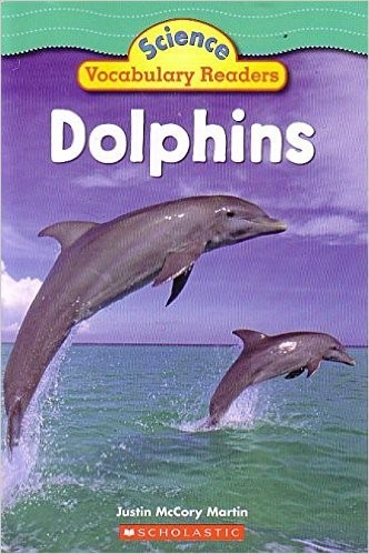 Dolphins cover
