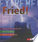 Fried! When Lightning Strikes cover