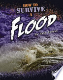 How to Survive a Flood cover