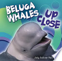 Beluga Whales up Close cover