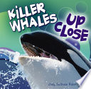 Killer Whales up Close cover