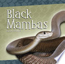 Black Mambas cover