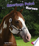 American Paint Horses cover