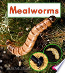 Mealworms cover